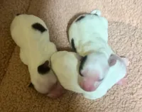 processed/574bec04-a9e6-4be7-9ba6-12b39ea6522c/facility/7ca283c1-606b-498c-8d47-c77874824124