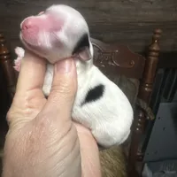 processed/574bec04-a9e6-4be7-9ba6-12b39ea6522c/facility/841a61b2-5cdd-47ae-b3b3-265f41137856