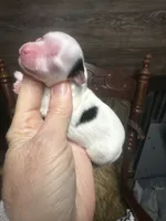 processed/574bec04-a9e6-4be7-9ba6-12b39ea6522c/facility/841a61b2-5cdd-47ae-b3b3-265f41137856