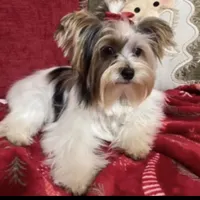 processed/574bec04-a9e6-4be7-9ba6-12b39ea6522c/facility/b6414a35-c96c-48dd-bba6-bc6461c7f191