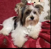 processed/574bec04-a9e6-4be7-9ba6-12b39ea6522c/facility/b6414a35-c96c-48dd-bba6-bc6461c7f191