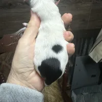 processed/574bec04-a9e6-4be7-9ba6-12b39ea6522c/facility/c3234fe3-f676-40b9-8918-3950f8f29a59