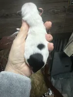 processed/574bec04-a9e6-4be7-9ba6-12b39ea6522c/facility/c3234fe3-f676-40b9-8918-3950f8f29a59