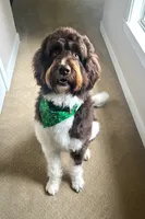 processed/574c2236-319b-407e-aefd-8a7e86258998/listing/2945cfd9-bd64-4c86-bea0-ce54bab7973a/02c49c01-c1d1-4ffa-b9da-b6ac8c169a7e