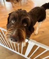 processed/574c2236-319b-407e-aefd-8a7e86258998/listing/2945cfd9-bd64-4c86-bea0-ce54bab7973a/7500a0e0-1efc-4459-a774-a5579f807dd9