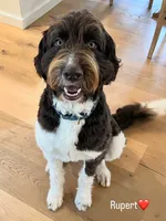 processed/574c2236-319b-407e-aefd-8a7e86258998/listing/2945cfd9-bd64-4c86-bea0-ce54bab7973a/b58c68cc-1c3c-4061-aa15-f693fa07cf7e