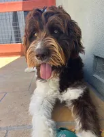 processed/574c2236-319b-407e-aefd-8a7e86258998/listing/2945cfd9-bd64-4c86-bea0-ce54bab7973a/c4e29069-35bf-409e-883f-0c35a94c0d46