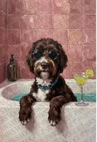 Newfypoo, a male Newfoundland and Poodle - Standard  for sale in El Dorado Hills, CA – Photo 3 of 5