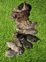 processed/575797ad-adb2-4385-a9a7-1085f45bfb62/listing/21065080-7647-4a10-9e10-b58b7baff6db/8c3f4d06-215f-49e8-859a-8703f57e6942