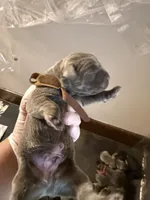 processed/575797ad-adb2-4385-a9a7-1085f45bfb62/listing/21065080-7647-4a10-9e10-b58b7baff6db/e17cadf3-47db-4723-b19d-a109e3231055