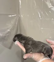 processed/575797ad-adb2-4385-a9a7-1085f45bfb62/listing/727afae3-f435-4416-8242-66108b210ba2/5b124b97-13fa-49a2-95d9-a276df291a79