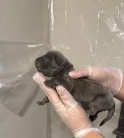 processed/575797ad-adb2-4385-a9a7-1085f45bfb62/listing/727afae3-f435-4416-8242-66108b210ba2/96939437-6a5d-4de2-951d-83e38bec6cf5