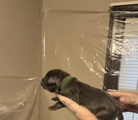 processed/575797ad-adb2-4385-a9a7-1085f45bfb62/listing/a9060491-6a3b-4a42-a80d-35bca253b23d/433da618-bab9-4953-9e74-e86147cc554e