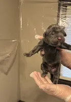 processed/575797ad-adb2-4385-a9a7-1085f45bfb62/listing/a9060491-6a3b-4a42-a80d-35bca253b23d/8a1250e8-356b-43ce-8ca7-aa4d2b51ff25