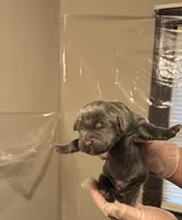 processed/575797ad-adb2-4385-a9a7-1085f45bfb62/listing/a9060491-6a3b-4a42-a80d-35bca253b23d/ef739c7b-8e7f-4460-b991-a55b11d11f9e