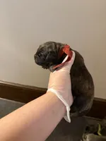 processed/575797ad-adb2-4385-a9a7-1085f45bfb62/listing/babb115d-3bcf-4af0-9058-328de02a4b56/5f91b36f-d284-48d2-956a-3d49e4884829