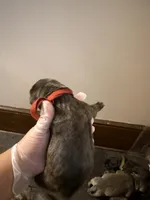 processed/575797ad-adb2-4385-a9a7-1085f45bfb62/listing/babb115d-3bcf-4af0-9058-328de02a4b56/85a42cdc-973a-46f9-87d7-a79e5168120b