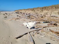 processed/575c1c61-d8b9-4762-993f-a86f487e1ab1/facility/3fd1236f-f535-405d-a39b-c1be9da2400f