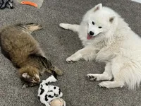 processed/575c1c61-d8b9-4762-993f-a86f487e1ab1/facility/4026d171-b9b7-43d0-a514-10fb3f2f00f3