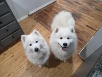 processed/575c1c61-d8b9-4762-993f-a86f487e1ab1/facility/c4ad28b6-d9e2-4b60-97d3-6b94eb226bb4