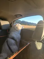 processed/575c1c61-d8b9-4762-993f-a86f487e1ab1/facility/d28bf1c2-4b4d-4ed1-8557-a98b2338a5b0