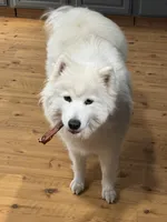 processed/575c1c61-d8b9-4762-993f-a86f487e1ab1/facility/e578902c-e25e-479b-8684-ce083ca00e67