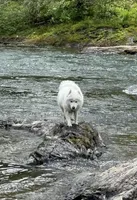 processed/575c1c61-d8b9-4762-993f-a86f487e1ab1/facility/f01bee72-76b4-4e7e-94a8-1b455fad98df