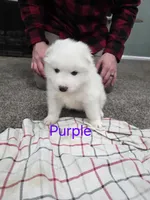 processed/575c1c61-d8b9-4762-993f-a86f487e1ab1/listing/09f1a49b-cfa4-4766-9604-397fc0dd8fe1/3f70795a-b842-44d7-8e85-6f15732759a5