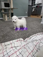 processed/575c1c61-d8b9-4762-993f-a86f487e1ab1/listing/09f1a49b-cfa4-4766-9604-397fc0dd8fe1/9b14f285-04f4-45ff-ba45-78105e34c3d5