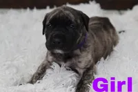 processed/57676402-fe75-4a3d-9c2e-1d016e72daf0/listing/fd424584-02a8-4374-bcd4-fe5b71989fd0/51194fd7-532e-4a2c-a6d9-f1be0ac65079