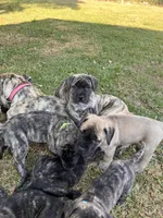 processed/57676402-fe75-4a3d-9c2e-1d016e72daf0/listing/fd424584-02a8-4374-bcd4-fe5b71989fd0/b3bc63d4-13e0-4eaf-8319-8d84b67ec421