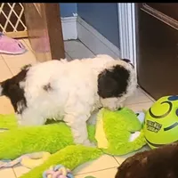 processed/576a557b-5db0-48f7-b5db-2017621ac253/facility/4240f9cc-63b1-4566-8d0b-8fdbb58334db