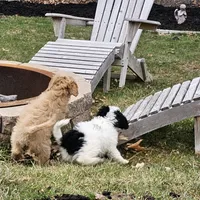 processed/576a557b-5db0-48f7-b5db-2017621ac253/facility/4e888009-9a0b-463d-a986-fde1f1c4a393