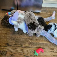 processed/576a557b-5db0-48f7-b5db-2017621ac253/facility/75c49b18-7c21-45ba-9d72-d296e2f515fa