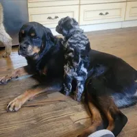 processed/576a557b-5db0-48f7-b5db-2017621ac253/facility/9d938c14-5086-4f52-85c2-89df2a3f3dbd