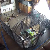 processed/576a557b-5db0-48f7-b5db-2017621ac253/facility/e9e80b00-f411-4de6-a0d0-8a9ae63888ba