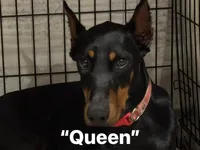 processed/577350d7-4e10-46ac-9cad-5fef909d8edd/listing/3f00040a-b6db-4bff-855b-10ac98064a00/85ecc773-c8e3-4248-bd1b-f1f4e59543b9