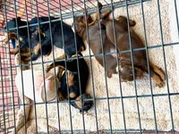 processed/577350d7-4e10-46ac-9cad-5fef909d8edd/listing/544ccd44-ddd1-4b01-bac8-5f374875ee4c/5dd4131e-ebd2-409f-a0fa-171bc9ca7f5c