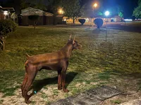 processed/577350d7-4e10-46ac-9cad-5fef909d8edd/listing/544ccd44-ddd1-4b01-bac8-5f374875ee4c/95d7da7d-96a2-4dde-8f11-e731e94579c4