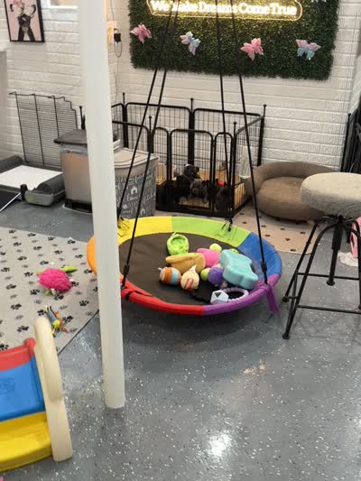 Facility video