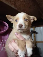 processed/578511e0-b0ae-44c3-9ea5-1e293d89127b/listing/5bcb5083-f37c-4e99-acde-dc4e3d45ed79/96b76cbb-63a5-44ad-883d-21e0d3c3d9e4