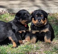 processed/5788b03e-68bc-4c2b-a6e9-b03f69538be9/facility/42fc2169-6d12-44b3-8726-cb0a57e99311