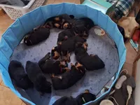 processed/5788b03e-68bc-4c2b-a6e9-b03f69538be9/facility/4ab4c0c5-cbc3-470f-b4ab-be84864498b2