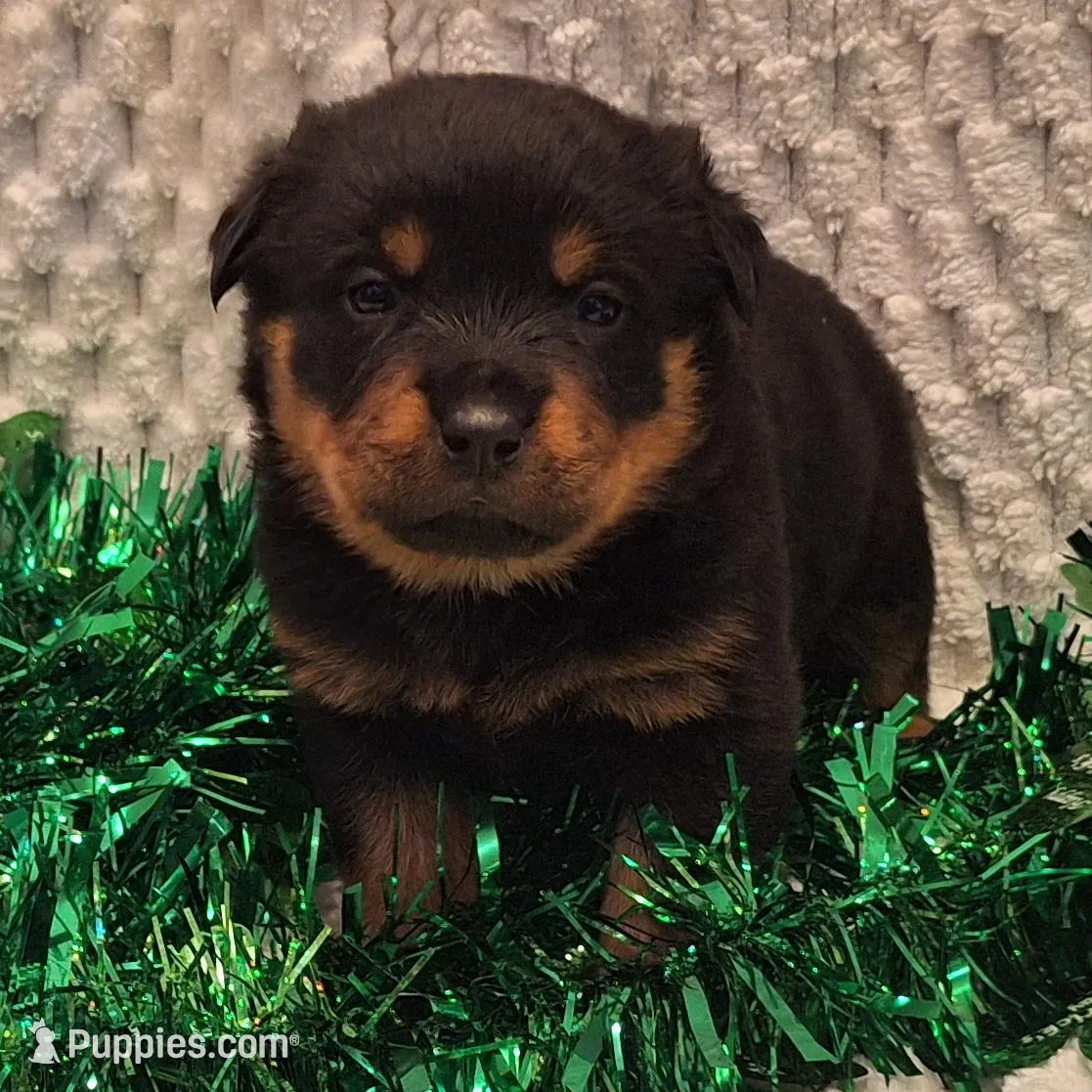 processed/5788b03e-68bc-4c2b-a6e9-b03f69538be9/facility/6266ef28-622f-4df6-9195-61463e51ede9