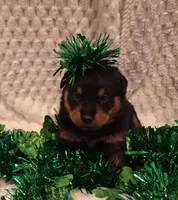 processed/5788b03e-68bc-4c2b-a6e9-b03f69538be9/facility/a5ae34be-0571-4871-9a8c-cf52fdc7346a