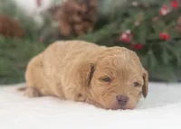 processed/578ec17b-f991-4ba1-93f5-ae89bd4d0b81/listing/2f46f039-4518-415e-8abc-3485854d3da8/28cd61ec-64f2-42c5-8a80-31a679e5b8c4