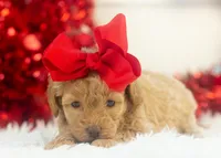 processed/578ec17b-f991-4ba1-93f5-ae89bd4d0b81/listing/2f46f039-4518-415e-8abc-3485854d3da8/339e5f16-1a81-4fe1-b633-f9897a441a2d