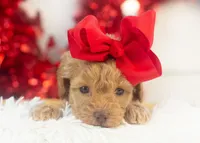 processed/578ec17b-f991-4ba1-93f5-ae89bd4d0b81/listing/2f46f039-4518-415e-8abc-3485854d3da8/446089a0-2bae-428b-87be-f6d927c1ef91