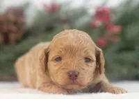 processed/578ec17b-f991-4ba1-93f5-ae89bd4d0b81/listing/2f46f039-4518-415e-8abc-3485854d3da8/9e484ce4-9da4-4465-bd02-c80dfd294fa3