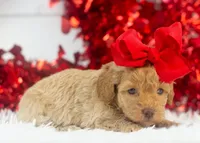 processed/578ec17b-f991-4ba1-93f5-ae89bd4d0b81/listing/2f46f039-4518-415e-8abc-3485854d3da8/af69c6b4-60f7-41ef-9c35-026cc34e6476